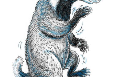 Wild Workout for kids!