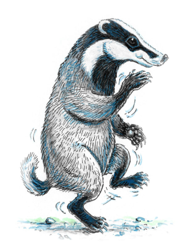 Wild Workout for kids!